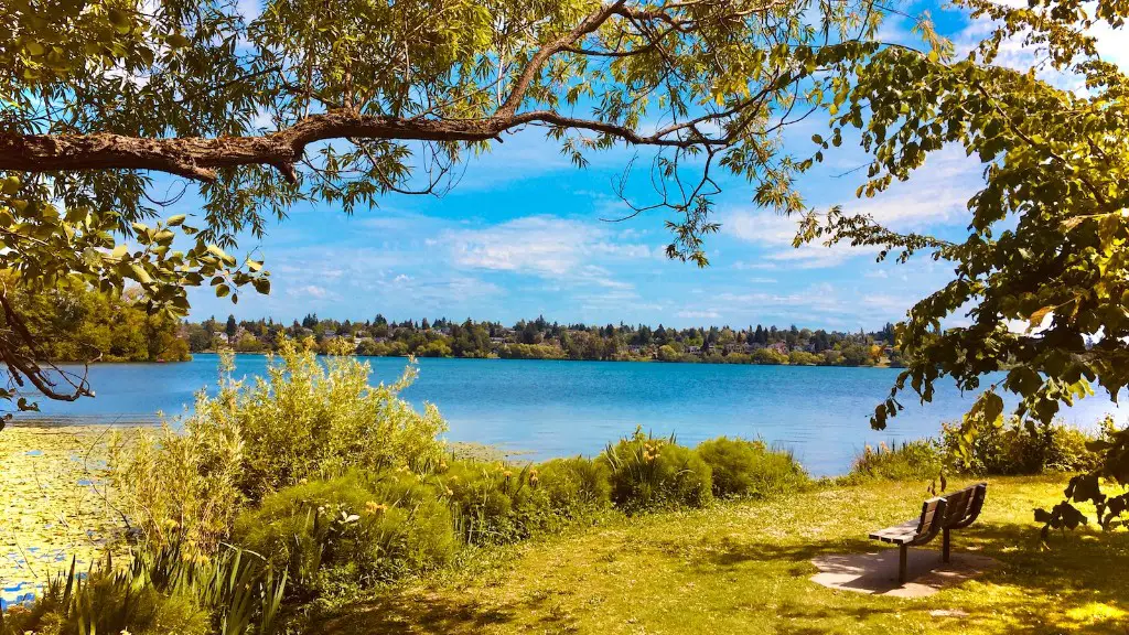 What do plants and trees live in crater lake?