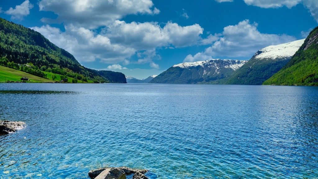 Do any animals live in crater lake?