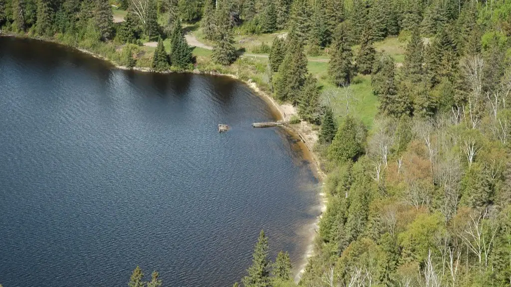 Is salmon from lake michigan safe to eat?