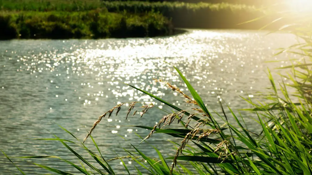 What Does Lake Victoria Look Like