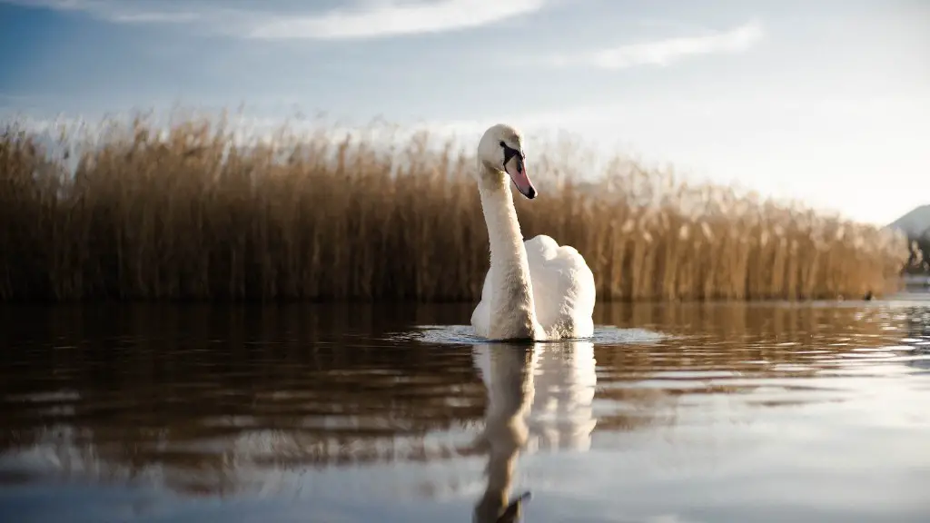 Does loch ness open to the atlantic ocean?