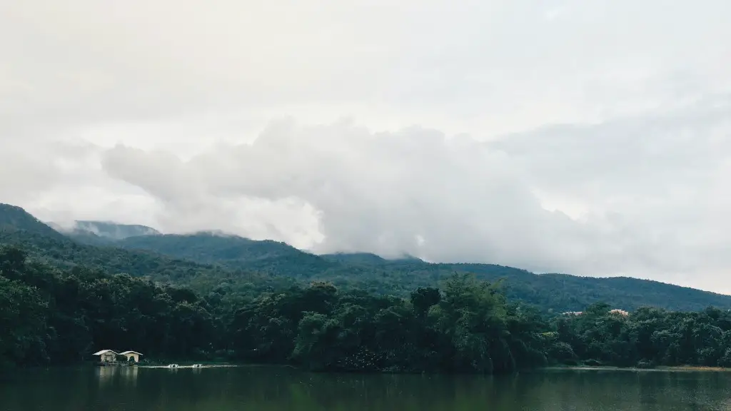 What Is Unique About The Cichlid Fish In Lake Malawi