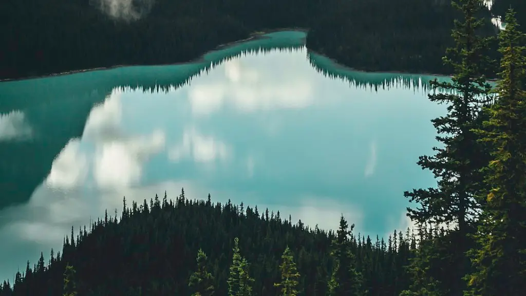 What is the floating log in crater lake called?