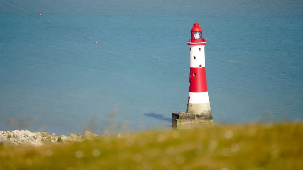 What’s lurking in lake michigan?