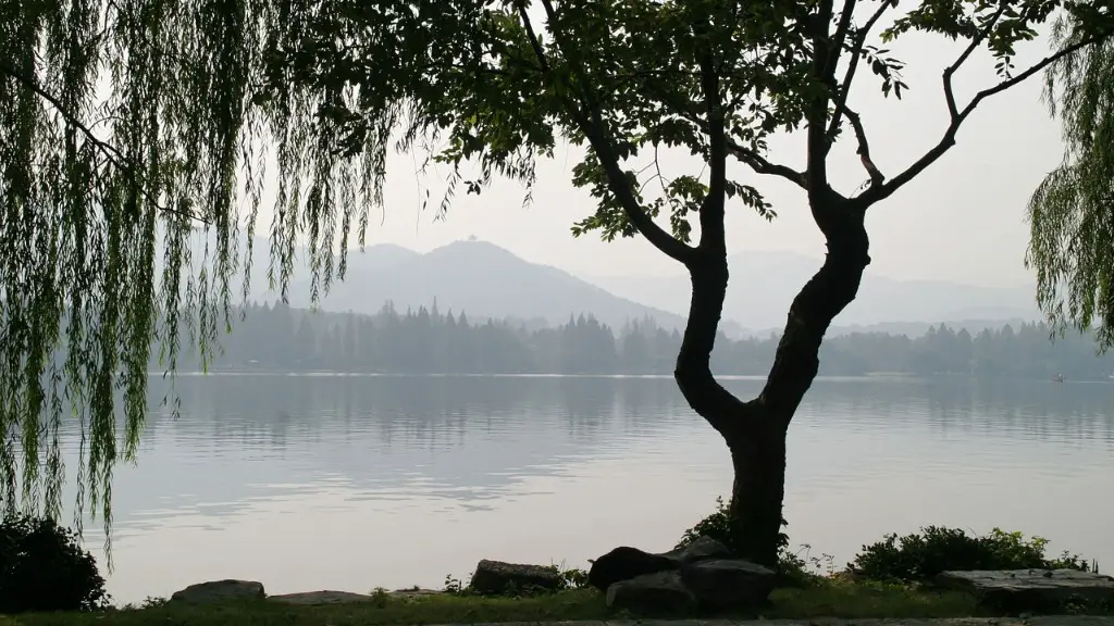 Is crater lake pet friendly?