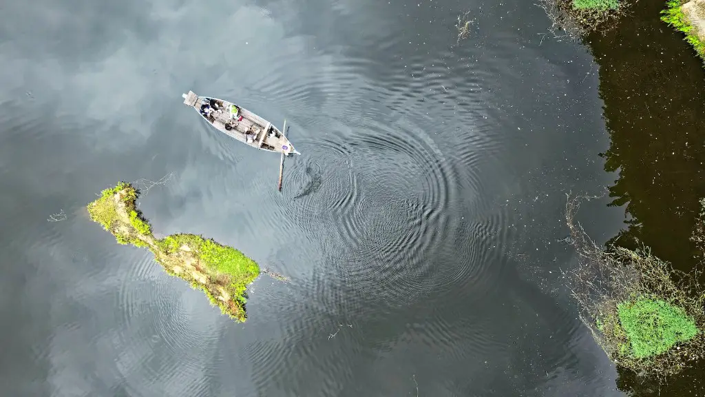 What fish live in crater lake?