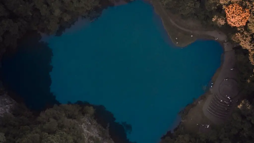 What kind of fish in crater lake?