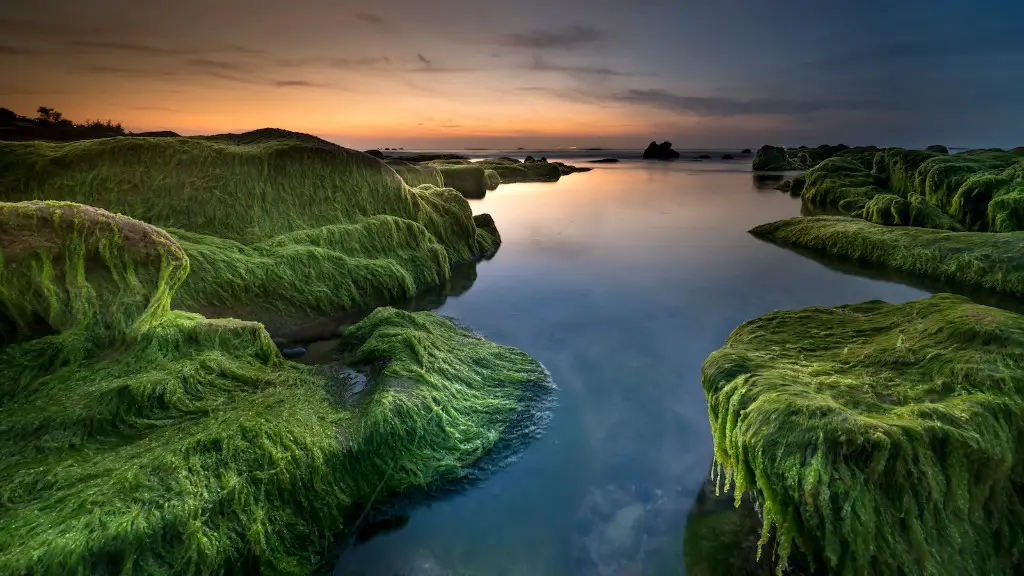 Is Lake Baikal Freshwater