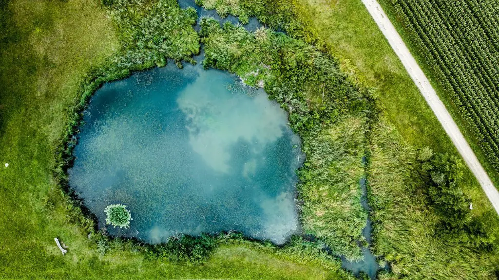 What Lives At The Bottom Of Lake Superior