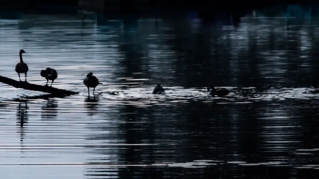 What’s the deepest spot in lake michigan?