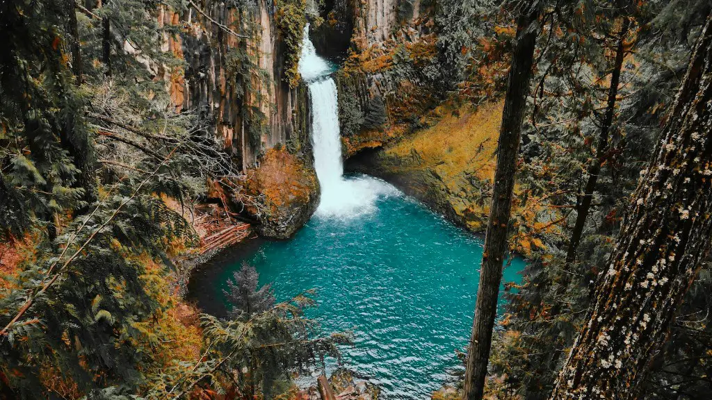 Why are there no fish in crater lake?