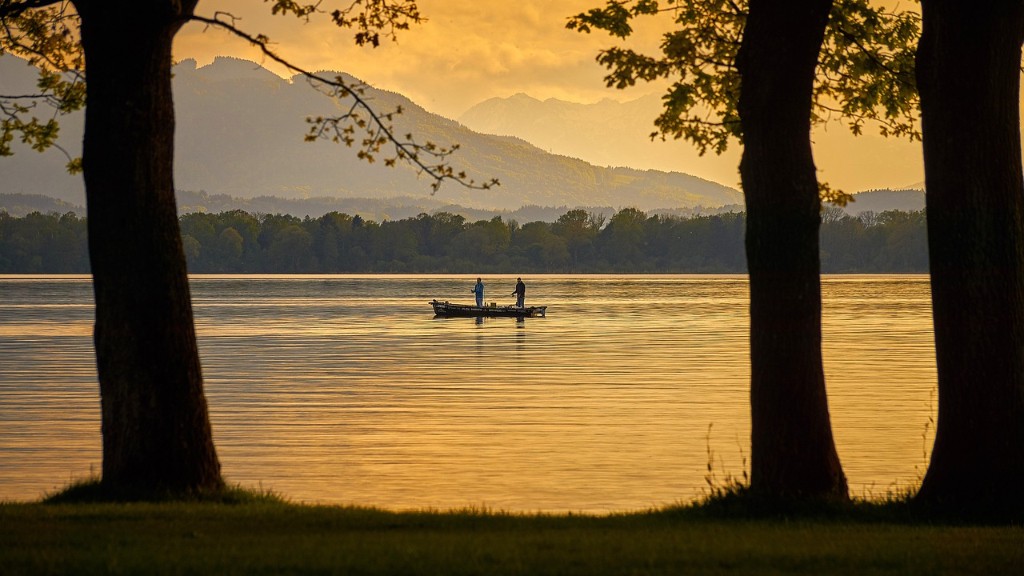 Are there whale sharks in loch ness?