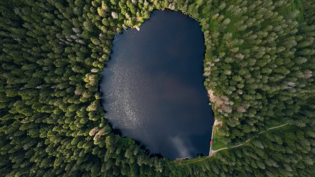 Can you swim in crater lake nz?