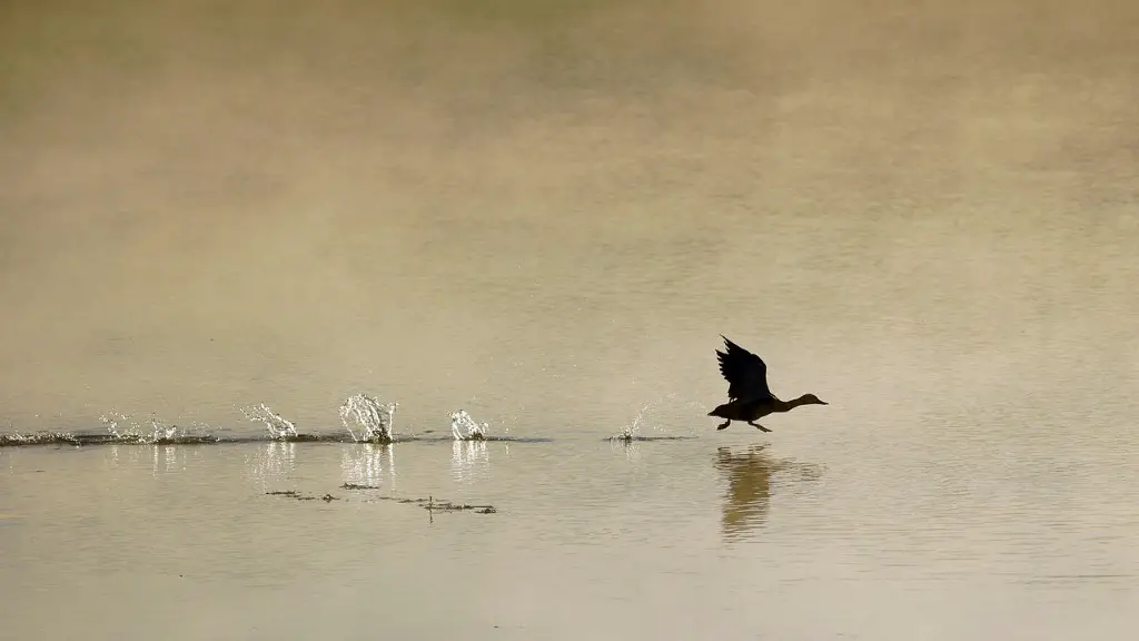 How to pronounce loch ness monster?