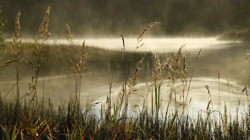 What does ness mean in loch ness?