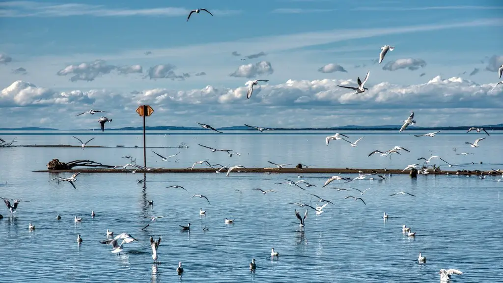 Where is the deepest part of lake michigan?