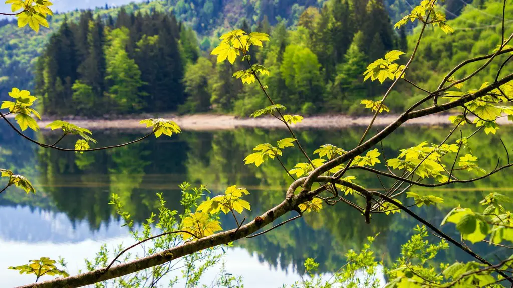 Do Bodies Decompose In Lake Superior