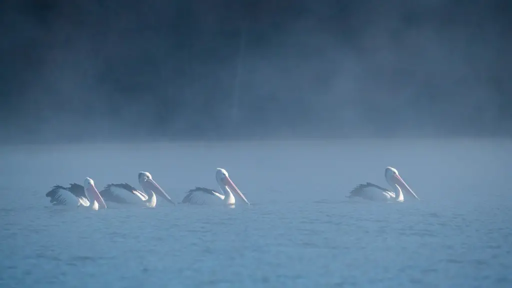 Is loch ness fresh water?