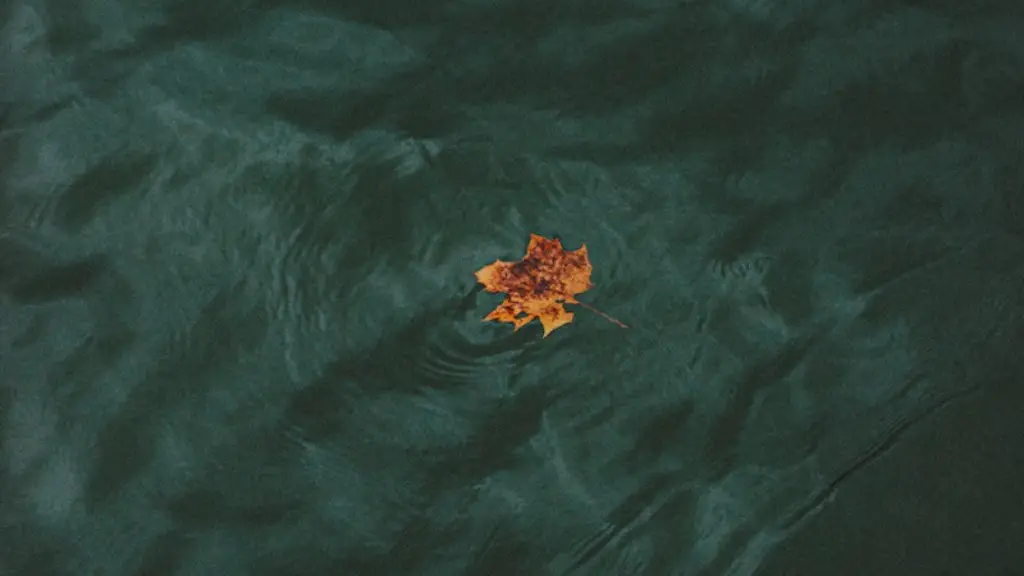 Can you rent paddle boats at crater lake?