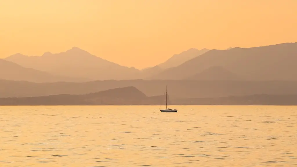 Can a shark live in lake michigan?