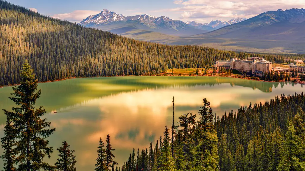 Was a grizzly bear released in crater lake national park?