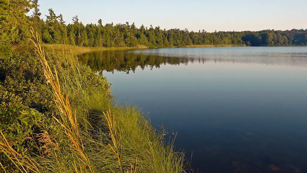 What is the lake temperature of lake michigan?