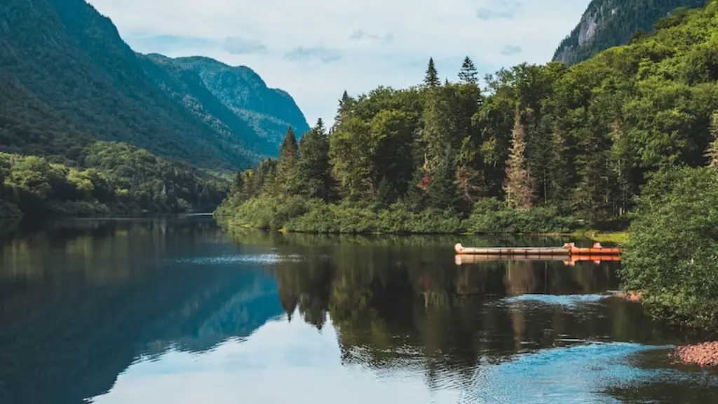 What do plants and trees live in crater lake?