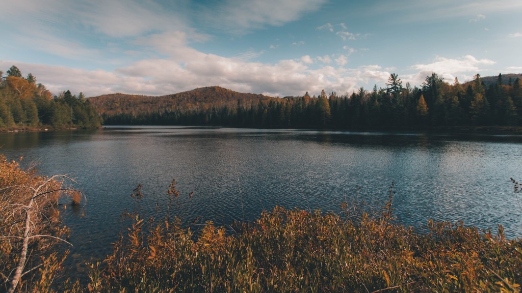 Could the loch ness monster be a leviathan?