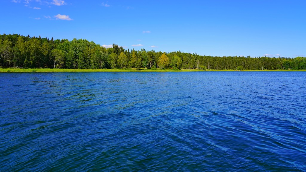 What kinds of fish are in lake michigan?