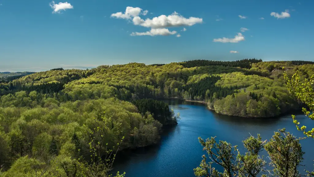 Are there fish in little crater lake?