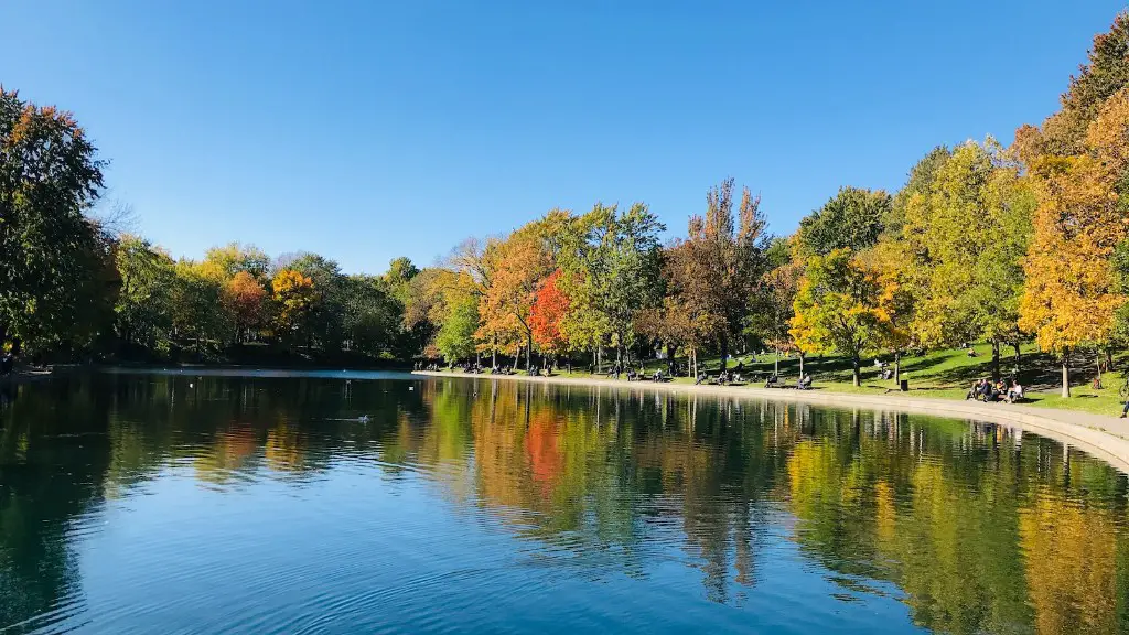 Is lake michigan water safe to swim in?